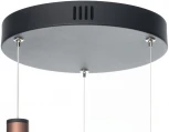 Подвесной светильник Citilux Майя CL202032 (LED, 220V, на проводе)