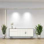 Встраиваемый точечный линейный светильник светодиодный Denkirs Space DK2515-WB (220V)