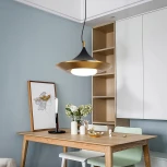 Подвесной светильник Rask ImperiumLoft Rask01 (151756-26) (LED, 220V, на тросе)