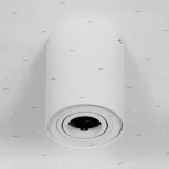 Потолочный светильник круглый Lightstar Binoco 052016 (220V)