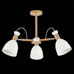 Потолочная люстра Evoluce Balcamo SLE103802-03 (220V)