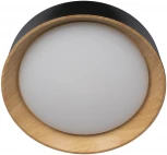 Потолочный светильник круглый Coin 10202 Black Loft It (LED, 220V, круглые)