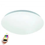 Настенно-потолочный светильник Eglo Giron-c 32589