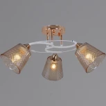 Потолочная люстра на штанге Reluce 06003-0.3-03 FG+WT