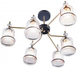 Потолочная люстра на штанге Imex MD.4889-6-S AB+BK