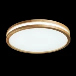 Потолочный светильник круглый светодиодный De City Норден 660015401