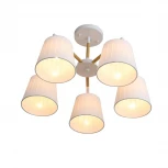 Потолочная люстра ST Luce Passeto SL375.502.05