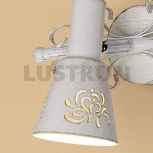 Спот Citilux Дункан CL529512