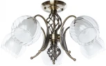 Потолочная люстра Arte Lamp Dolcemente A1607PL-5AB