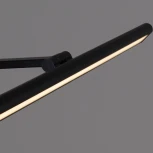 Подсветка для картин светодиодная с регулировкой цветовой температуры Reluce 08828-0.2-01L (220V)