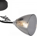 Потолочная люстра на штанге Reluce 01525-0.3-02 BK+CR (220V)