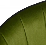 Стул Paola зеленый с жаккардом Bradex Home RF 0258