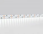 Светодиодная лента двухрядная Ambrella Illumination GS1703 2835 240Led 24W/m 12V IP20 6500K 5m