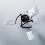 Потолочная люстра на штанге Citilux Берта CL126132 (220V)