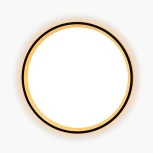 Настенно-потолочный светильник с подсветкой Черный+Золото Citilux Etalon CL750241 (LED, 220V, круглые, IP40)