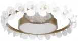 Потолочный светильник Bride 10174 (LED, 220V, цветы, круглые)