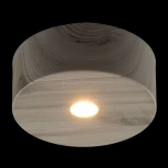 Потолочный светильник DeMarkt Иланг 712010601