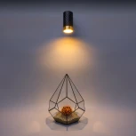 Точечный светильник накладной Wolta WSL-GU10/09BG под лампу GU10 Черный / Золотой LINEA