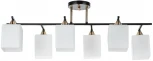 Потолочная люстра Arte Lamp Merope A4071PL-6BK
