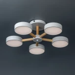 Потолочная люстра светодиодная на штанге с ДУ Ritter Scandia 51591 7