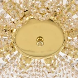 Потолочная люстра Bohemia 778 778/58 G