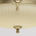 Потолочный светильник MW-Light Афродита 317011504