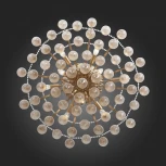 Потолочная люстра ST Luce Frutti SL659.302.09