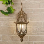 Настенный фонарь уличный Elektrostandard Orion черное золото