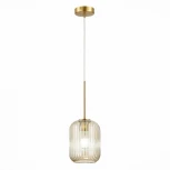 Подвесной светильник ST Luce Gran SL1154.333.01