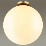 Потолочный светильник уличный Odeon Light Bosco 4250/1C