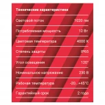 Настенно-потолочный светильник светодиодный REV 28921 0