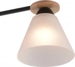 Потолочная люстра на штанге Reluce 01625-0.3-03 BK+WOOD (220V)