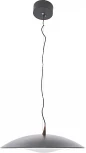 Подвесной светильник светодиодный Mizi'en Candor MZ46212B (220V, на тросе)