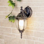 Настенный фонарь уличный Elektrostandard Feliz GL 1002D черное золото