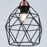 Подвесной светильник ILLUMICO IL2001-4P-05 BK ROSE GD