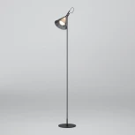 Торшер Eurosvet Enigma 01187/1