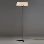 Торшер Freya Vabi FR6132FL-L15B (LED, 220V, выключатель)