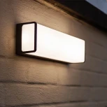 Настенный уличный светильник Arte Lamp A6419AL-1BK (LED, 220V, IP65)