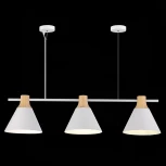 Подвесной светильник Evoluce Modica SLE125103-03