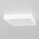 Потолочный светильник Citilux Галс CL55K22N (LED, 220V)