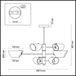Потолочная люстра Lumion Nolan 4402/6C