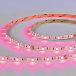 Светодиодная лента SMD5050 ST Luce ST019.318.20RGBW