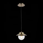 Подвесной светильник Evoluce Garonni SLE110103-01