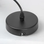 Подвесной светильник Lussole Miller LSP-8925 (220V, на проводе, круглые)