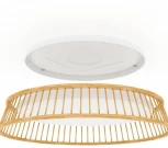 Потолочный светильник светодиодный Eglo LUPPINERIA 900797