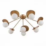 Потолочная люстра Evoluce Bolzano SLE220502-08