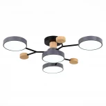 Потолочная люстра на штанге Evoluce Faema SLE6006-702-04