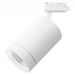 Трековый светильник Lightstar Canno 303262 (LED, 220V)