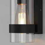 Настенный светильник уличный Elektrostandard Falcon 35167/D a063452 (220V, IP43)