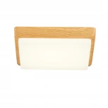 Потолочный светильник Evoluce Taddio SLE200202-01